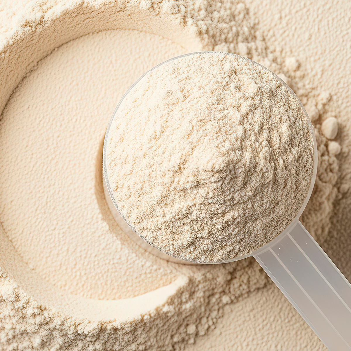 proteina de sabores