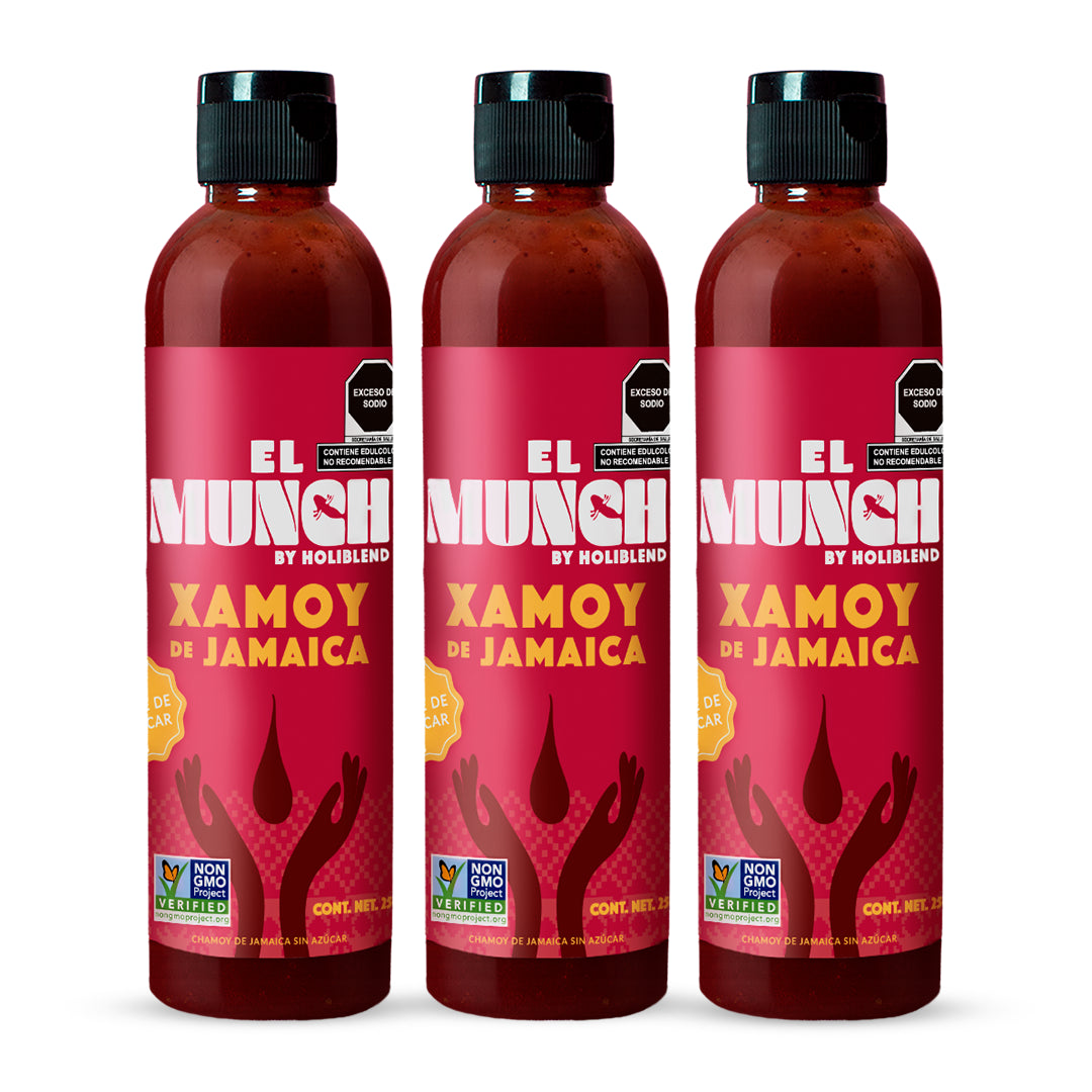 Chamoy de Jamaica El Munch by Holiblend – Endulzado con Fruta del Monje, Sin Calorías y Certificado Non-GMO (Paquete de 3 de 250 ml)